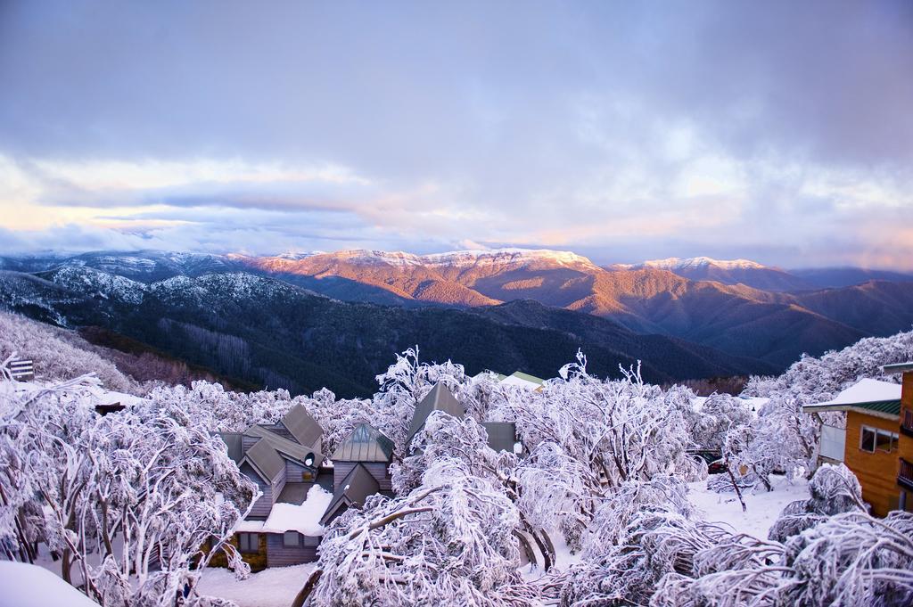 Chalet Apartments - Mt Buller Apartment Rentals Mount Buller Room photo